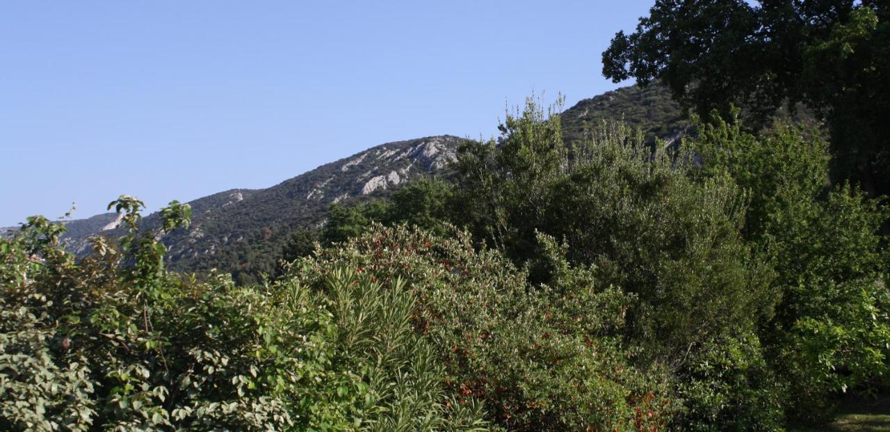 Hestia Bed & Breakfast Robion en Luberon ภายนอก รูปภาพ